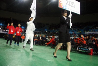 2014 전국장애인체육대회(대한장애인체육회 제공사진 포함)